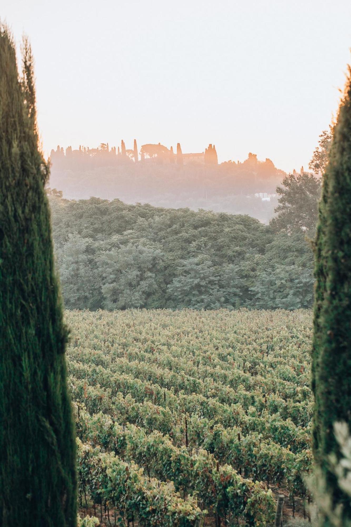 Borgo San Vincenzo Otel Montepulciano Stazione Dış mekan fotoğraf