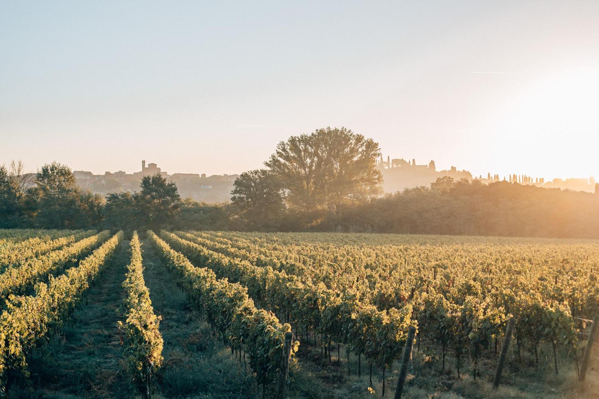 Borgo San Vincenzo Otel Montepulciano Stazione Dış mekan fotoğraf